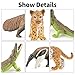 THINKBAY 12PCS Realistic Rainforest Animal Figurines Toys, Rainforest Diorama Supplies Party Favor, Jungle Animals Figures Toys Learning Toys for Toddlers Boys Girls, Valentine's Day Gifts for Kids
