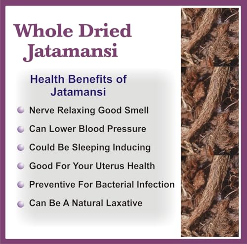 Image of Whole Dried Jatamansi Root 50g | Musk Root | Spikenard |Baalchadd, Spikenard, Tapasvini, Nard Indian