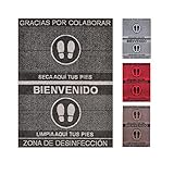 Alfombra desinfectante Calzado - Felpudo Limpia Zapatos para la Entrada, moqueta higienizante (Negro, 58_x_75_cm)