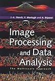 Image Processing and Data Analysis (The Multiscale Approach)