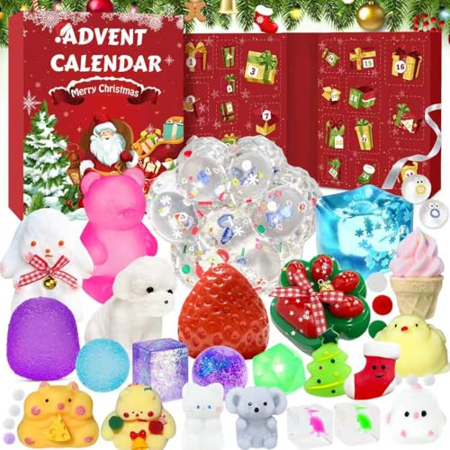 Fidget Adventskalender 2025-24 Tage Countdown Adventskalender Fidget Mini...