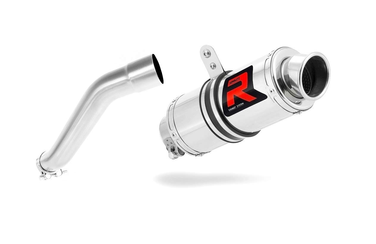 DOMINATOR Silenciador Escape GP1 compatible con F650 CS 2002-2005