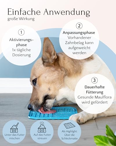 FAVLY DENTAL Zahnpflege Pulver für Hunde 250g gegen Maulgeruch – Ansicht 4