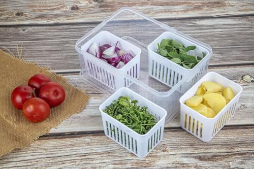 Image of Shuttle Art 4 Compartment Fridge Storage Boxes Freezer Storage Containers, Container for Kitchen Storage Set, Storage in Kitchen, Vegetable Storage, Draining Crisper Refrigerator Food Box