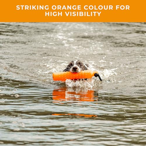 Cordon de lancement orange petit dummy pour chien joueur - 6