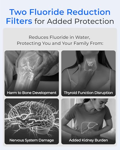 Image of Waterdrop TK-FS Gravity Water Filter System, NSF /ANSI 42&372 Standard, Stainless-Steel Water System with 4 Filters, Reduces Chlorine and Lead, with Sight Glass Spigot and Stand, 2.25G