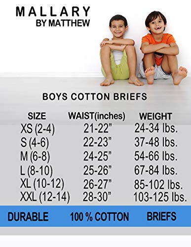 Mallary By Matthew M7-79101-T859M Boys 100% Cotton Briefs Underwear (8 Pack) Basics Multicolored Elastic Briefs thumb #5