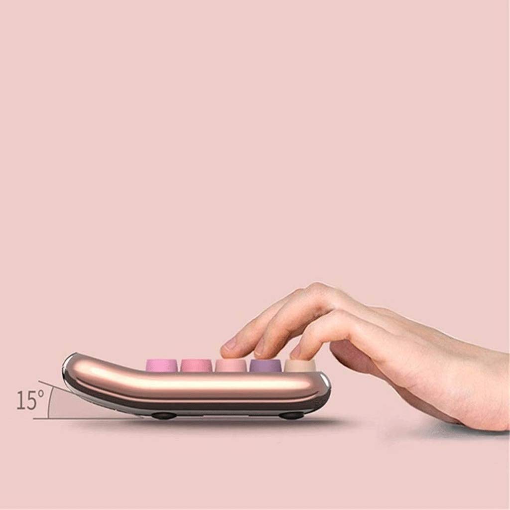 Calculatrice, Standard Fonction Bureau Calculatrices de Base avec 12 Chiffres Grand écran LCD