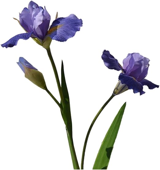 Amazon 造花 アイリス 全長80cm シルク布 1本だけ アリスアイリス 人工花 ジャーマンアイリス イリス オランダアヤメ セイヨウアヤメ 人工観葉植物 アーティフィシャルフラワー 花材 ブルー 造花 オンライン通販