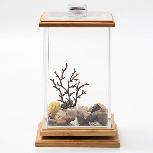 Amazon Co Jp 小さなベタ水槽アクアリウムホームリビングルームベッドルームオフィス用led照明付き360 回転式ミニクリエイティブガラスの水槽の装飾 C ペット用品 Amazon Co Jp 小さなベタ水槽アクアリウムホームリビングルームベッドルームオフィス用led照明付き360 回転式ミニクリエイティブガラスの水槽の装飾 C ペット用品