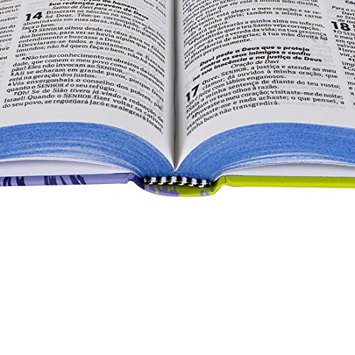 Bíblia Sagrada Almeida Revista e Corrigida - Capa Leão Azul: Almeida Revista e Corrigida (ARC)