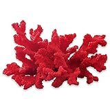 echte korallenkette erkennen Maße allgmein: H/B/T ca. 17 / 20 / 12.5 cm