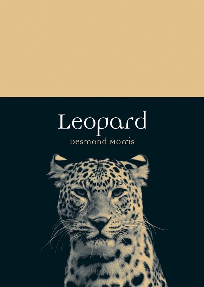 Leopard (Animal)