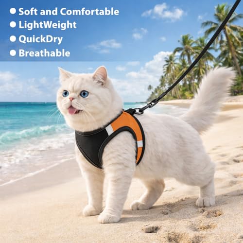 Image of Berlin's Cat Harness with Leash for Outdoor, Walking, Escape Proof, Air Mesh Fabric, Easy Control, Adjustable & Durable Cat Leash with Harness for Cats (Black-Orange, Small)
