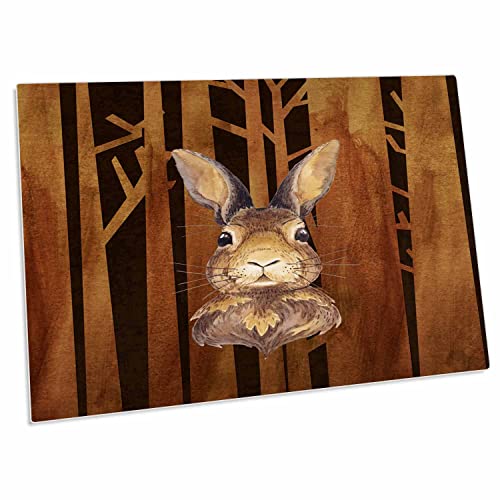 Pad para escritorio diseño conejo y naturaleza 3dRose
