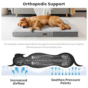 SunStyle-Home-Orthopedic-Dog-Beds-for-Large-Dogs-Large-Dog-Bed-with-Egg-Crate-Foam-Support-Non-Slip-Bottom-Removable-Washable-Cover-Mattress-Pet-Mat-BedLight-Grey - Cucciolini Doodles   SunStyle-Home-Orthopedic-Dog-Beds-for-Large-Dogs-Large-Dog-Bed-with-Egg-Crate-Foam-Support-Non-Slip-Bottom-Removable-Washable-Cover-Mattress-Pet-Mat-BedLight-Grey