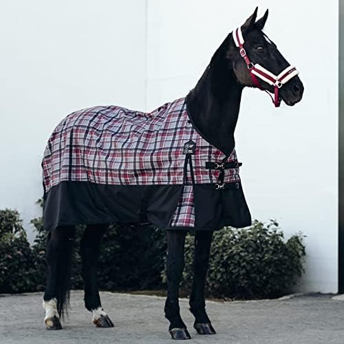 33 Best Horse Turnout Blankets You Can Buy On Amazon