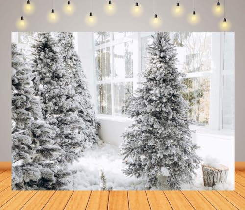 Arrière-plan photo Noël 4.6x3m sans pli pour studio - 3