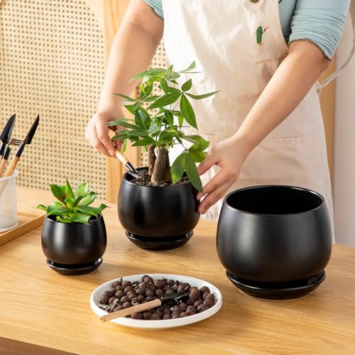 Pot de fleurs en céramique noire pour décoration salon et bureau
