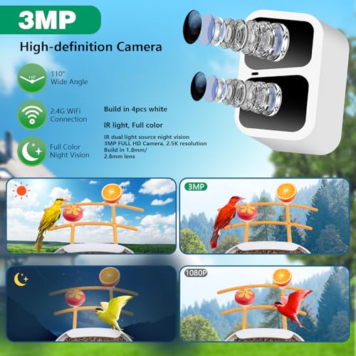 Bird Feeder with Camera Solar Powered, 2K Live Video, for Outdoor Backyard - Ai Identify Auto Capture Videos, Unique Outdoor Gifts for Mom Dad Birdlover