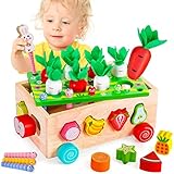 Juguetes Montessori para Niños, Juguetes Educativos, Juguetes de Clasificación de Formas, Juego de Habilidades Motoras...