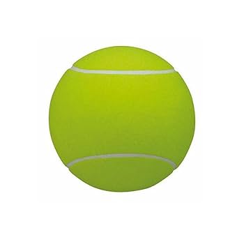 Amazon | サクライ貿易 (SAKURAI) CALFLEX テニス サインボール