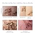 LAURA GELLER NEW YORK Baked Starter Kit: Baked Balance-n-Brighten Powder Foundation, Deep and Best of the Best Palette Blush Bronzer Highlighter Eyeshadow and Retractable Kabuki Brush