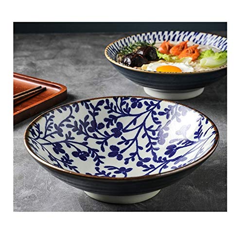 Porzellanschalen, 24,1 cm japanische Nudelschüssel, große Ramenschüssel, Mikrowelle, Keramikgeschirr, Salat, Reis, Obst, Suppenschüssel (Farbe: D) (Farbe: Argento)