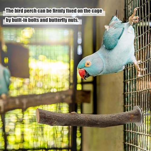 Natural Wood Bird Perch - 8-Piece Chewable Ladder | 320g Parrot Perches with Cockatiel, Chinchilla, Pet Juguetes for Cage, Tree Climbing, Window, Training, Activity, Small Birds, Bird Toys Stand - Afbeelding 6