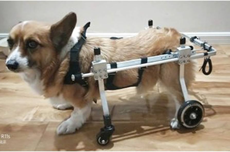 Amazon.co.jp: 老犬、猫、ウサギ、スクーター用の4輪ペット車椅子中小