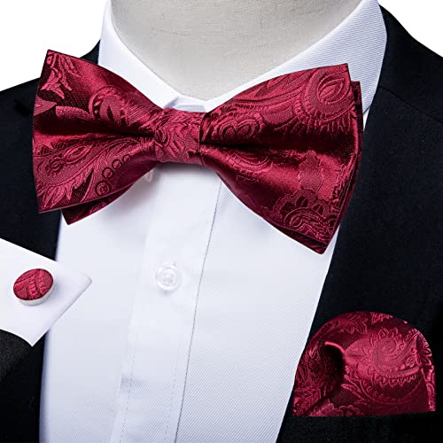 Image of DiBanGu Paisley Pre-Tied Bow Ties for Men Silk Adjustable Bowtie and Pocket Square Cufflinks for Wedding Party