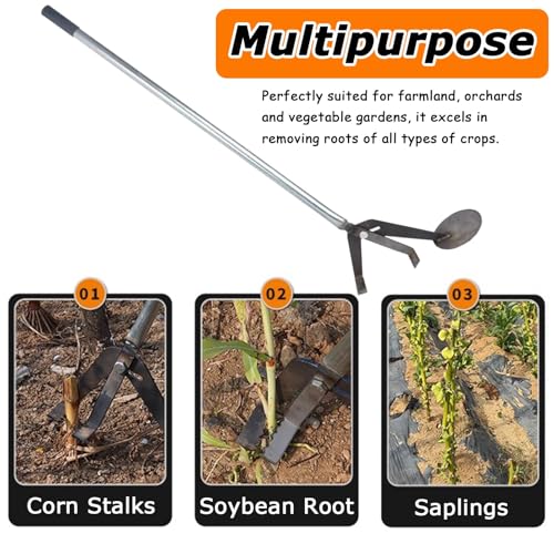 Extracteur de poteau de jardin robuste pour enlever le maïs, le soja et les mauvaises herbes tenaces avec poignée en bois – Enlève sans effort les tiges boisées et les vignes