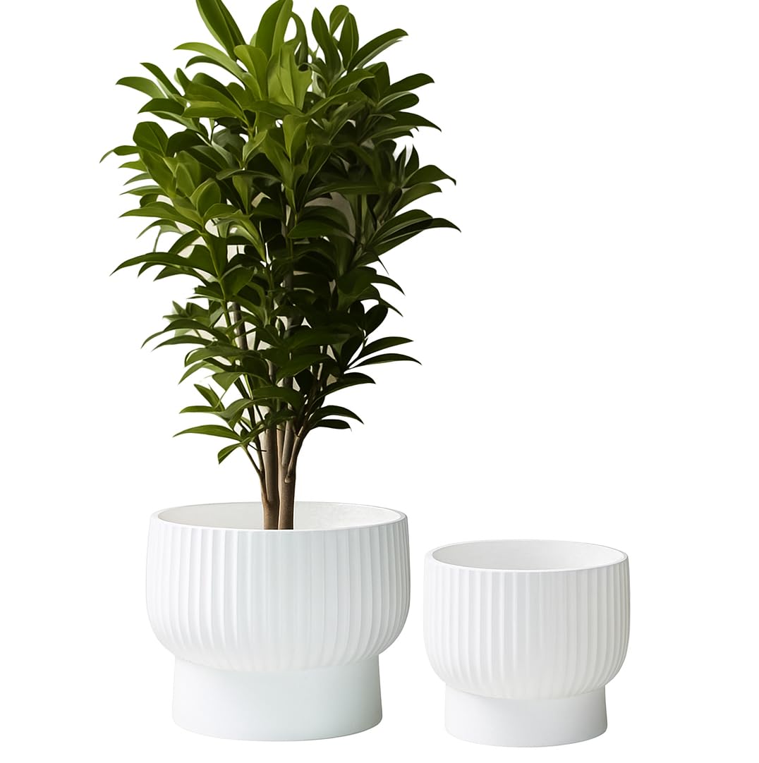 Olly & Rose XL Fibrestone Planter Raised Bowl Set 2 35cm +30cm - Extra Large Plant Pot - Garden Planters in White - Plant Pots Outdoor and Indoor