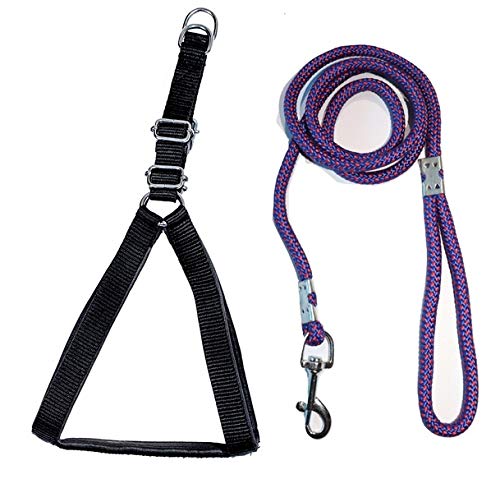 Tame Love Padded Harness Breathable Adjustable Leash Chest Belt for Small Dogs of All Breeds Comfortable for Training, Walking, Running (Black Color - 0.75 inches) (B08FJ7MKPD) Amazon Price History, Amazon Price Tracker
