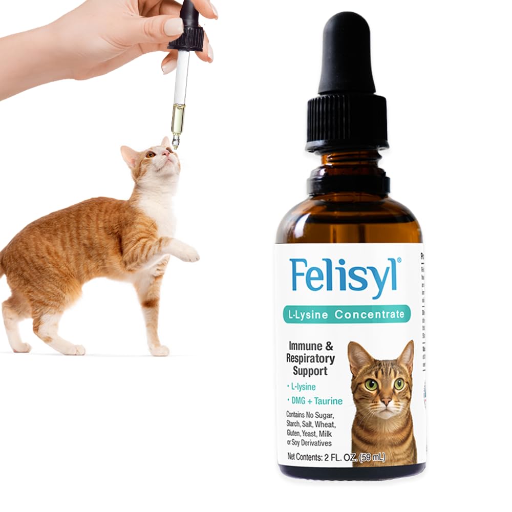 Felisyl L-Lysine Concentrate for Cats – 2 oz Immune & Respiratory Support Supplement with DMG & Taurine – Helps Relieve Sneezing, Runny Nose,