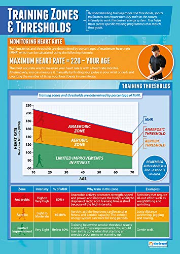 Sports Training Zones Thresholds  PE Posters  Laminated Gloss Paper Measuring 33” x 235”  Physical Education Charts for The Classroom  Education Charts by Daydream Education