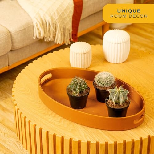 Image of Costa Farms Cactus Live Plants in Plastic Post, Easy to Maintain Succulent Indoor Houseplant, Home, Room, or Office Decor, Great House Warming or Birthday Gift, 4-8 Inches Tall, Pack of 3