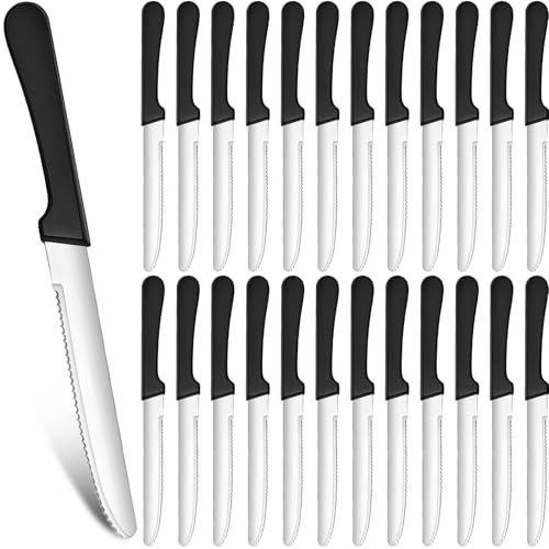 DKALIO 24 PCS 8.9 Inch Serrated Steak Knife Set Bulk Rounded Tip Stainless Steel Steak Knives Sharp Blade Flatware for Restaurant Kitchen Banquets Camping