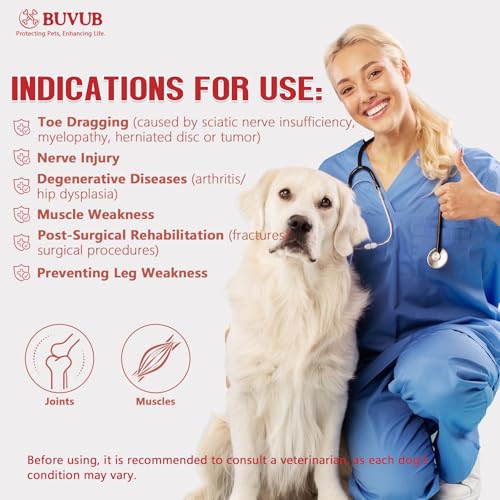Image of Dog Canine Knuckling Brace Rear Leg Dog Foot Brace Wrap for Toe Dragging Cause by Sciatic Nerve Insufficiency, Myelopathy, Herniated Disc (XLarge)
