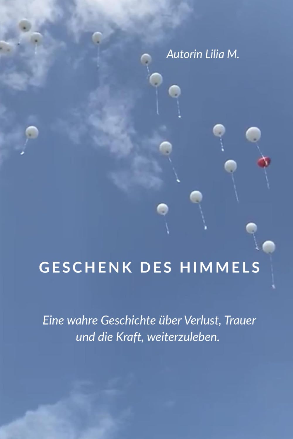 Geschenk des Himmels: Eine wahre Geschichte über Verlust, Trauer und die Kraft, weiterzuleben.
