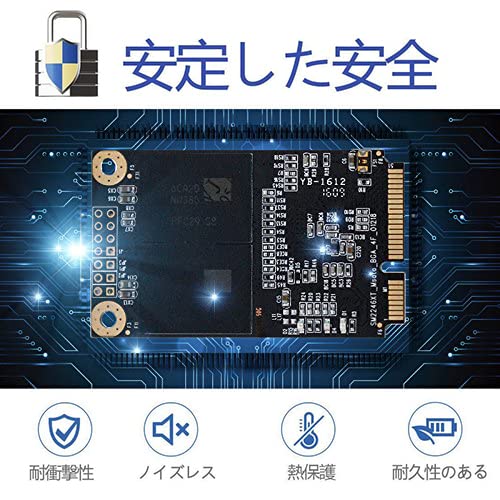内蔵型SSD mSATA SSD 1TB Amazon | LEVEN mSATA SSD 1TB 3D NAND TLC SATA III 6GB