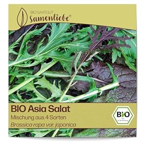 Samenliebe BIO Asia Salat Samen Mischung 1g