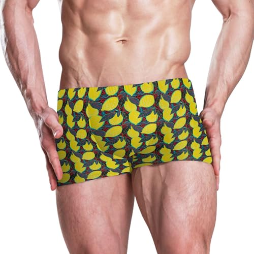 Lemon Fruit Summer Mens Swim Trunk Swimwear Bathing Suit Swim Brief Square Leg Board Short S B04050822