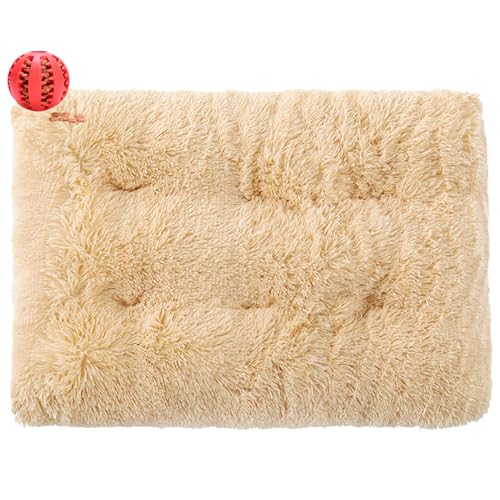 DOTBUY-SHOP Large Dog Bed Washable Plush, Soft Comfy Cat Bed Felt Rectangle Dog Bed Plain, Warm Pet Bed for autumn and Winter, Orthopedic Dog Beds Gift for Dogs and Cats (65X50cm,Beige)