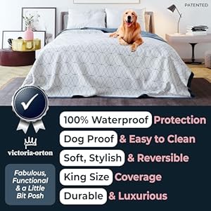 King-Size-Waterproof-Blanket-108x90-Inches-Washable-King-Bed-Cover-Leakproof-Pet-Blanket-for-King-Size-Bed-Protection-Durable-Waterproof-Dog-Blanket-for-Sofa-Bed-Blue-White - Cucciolini Doodles King-Size-Waterproof-Blanket-108x90-Inches-Washable-King-Bed-Cover-Leakproof-Pet-Blanket-for-King-Size-Bed-Protection-Durable-Waterproof-Dog-Blanket-for-Sofa-Bed-Blue-White