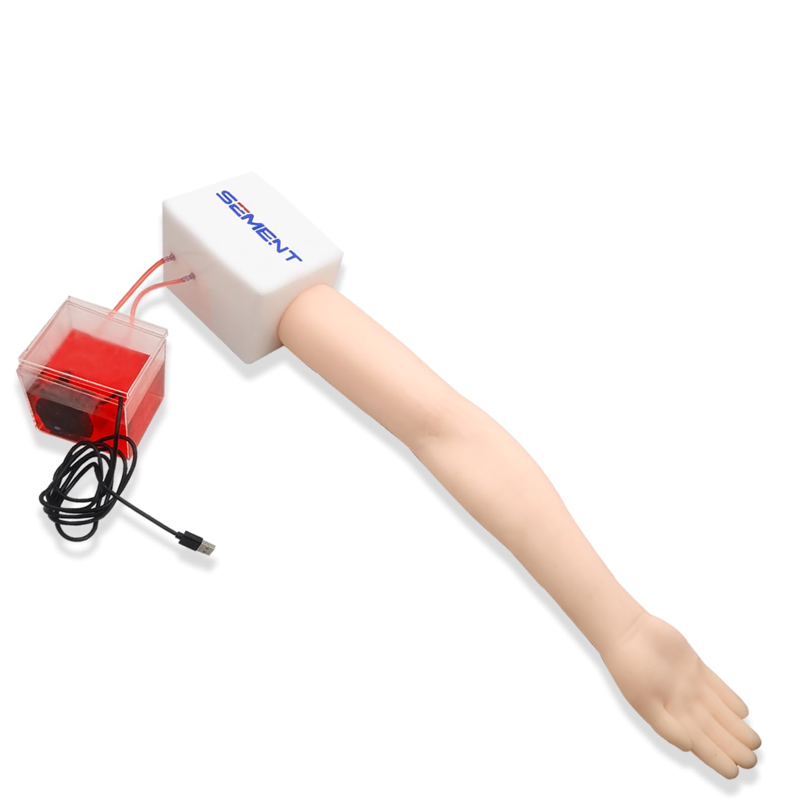 Amazon.co.jp: SZEMENTMD 超音波ガイド下シミュレーションアーム血管