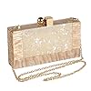 Menurra-Women-Acrylic-Evening-Clutch-bag-Glitter-Marble-Purse-Handbag-for-Wedding-Cocktail-Party-Prom Menurra Women Acrylic Evening Clutch bag Glitter Marble Purse Handbag for Wedding Cocktail Party Prom