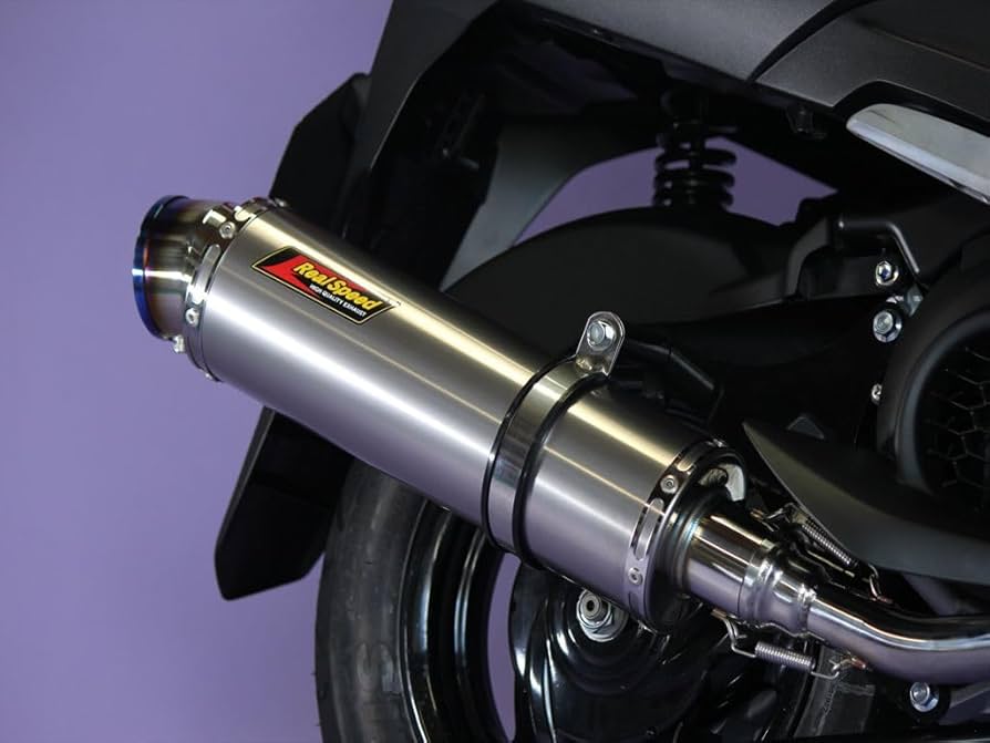 アクシスZ ジョグ125 リアライズマフラー O2センサー有り アクシスZ ジョグ125 リアライズマフラー O2センサー有り - メルカリ