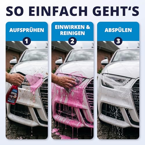 LICARGO Insektenentferner Auto 750ml – Insektenreiniger löst hartnäckige Insektenreste, Vogelkot, Baumharz… – Ansicht 3