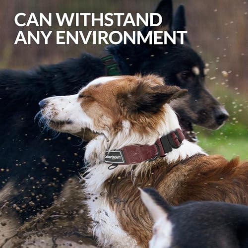 Robustes Hundehalsband für Große & Mittelgroße Hunde – Verstellbar, Doppellagiges Nylon, Metallschnalle, Reißfest & Ideal für Aktive Hunde (Rostrot, Groß (38-58 cm))
